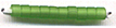 Kelly Green Transparent Matte
