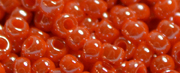 TOHO 11/o Round-Orange Opaque Luster. 11T129 (image for) TOHO 11/o Round-Orange Opaque Luster. 11T129