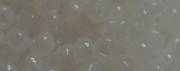 TOHO 11/o Round-White Translucent. 11T1141 (image for) TOHO 11/o Round-White Translucent. 11T1141