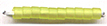 Lime Green Transparent Matte