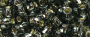 TOHO 11/o Round-Black Diamond Silver Lined #11T29B